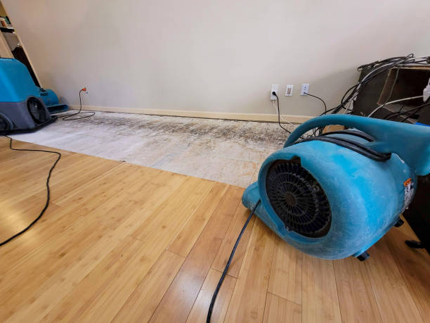 Professional Sewage Cleanup technician working in Costa, WV